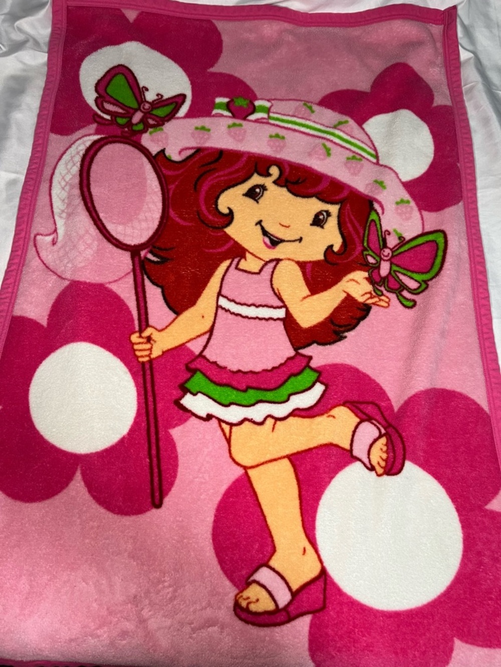 Strawberry Shortcake 2008 Fleece Blanket 42x32 Butterfly Catcher Rare